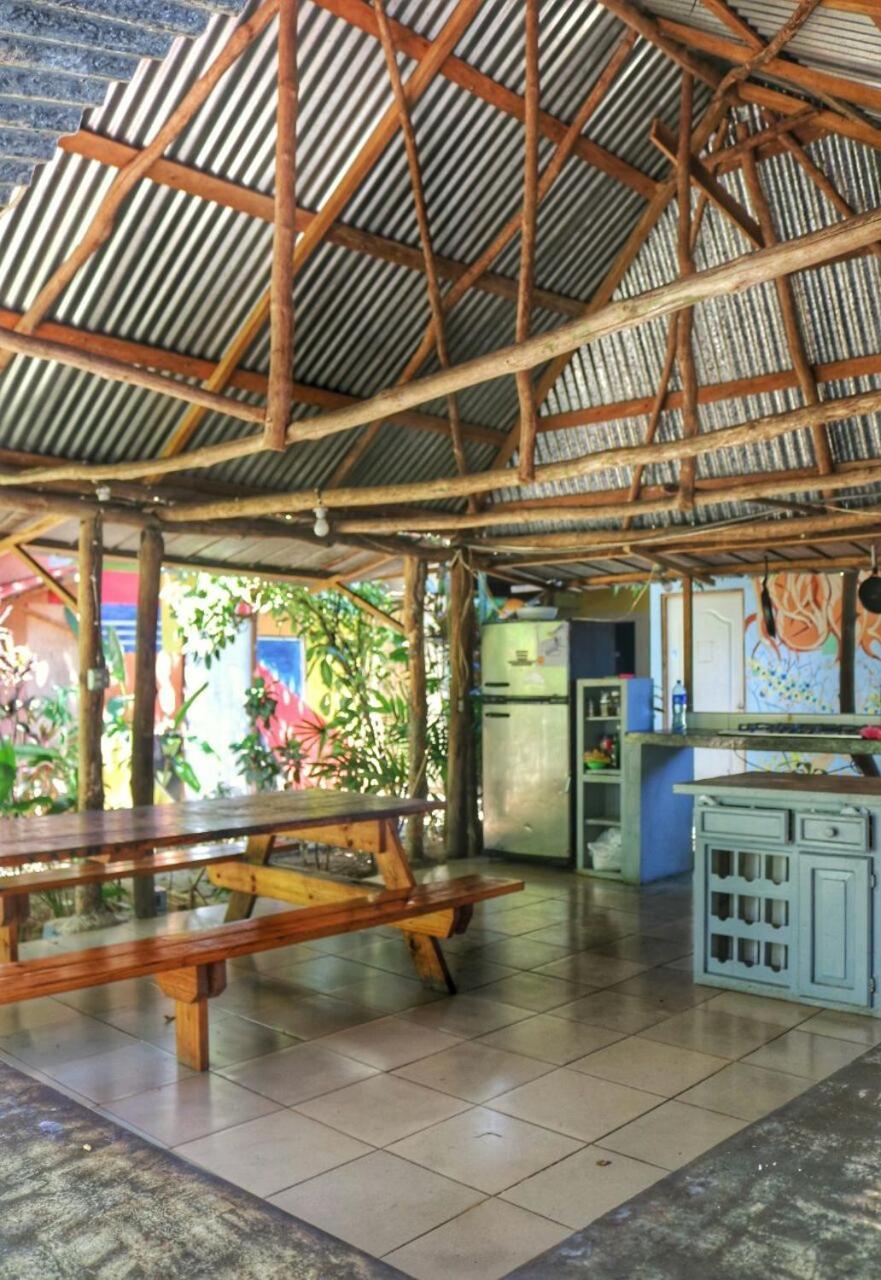 Bambu Hostel เดวิด ภายนอก รูปภาพ