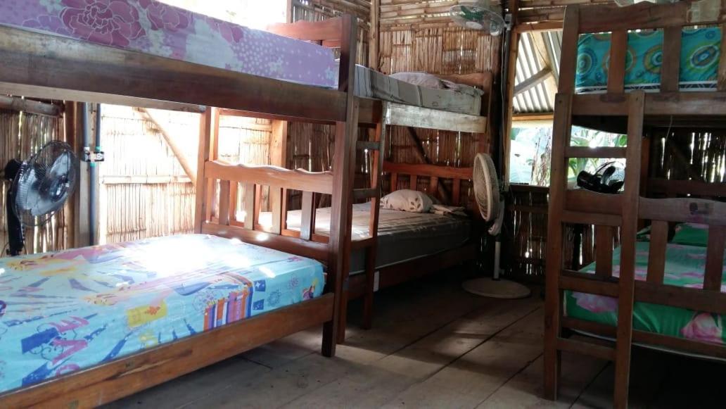 Bambu Hostel เดวิด ภายนอก รูปภาพ