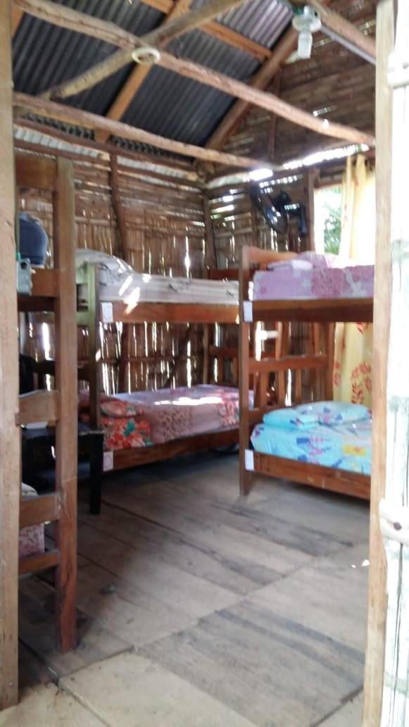 Bambu Hostel เดวิด ภายนอก รูปภาพ