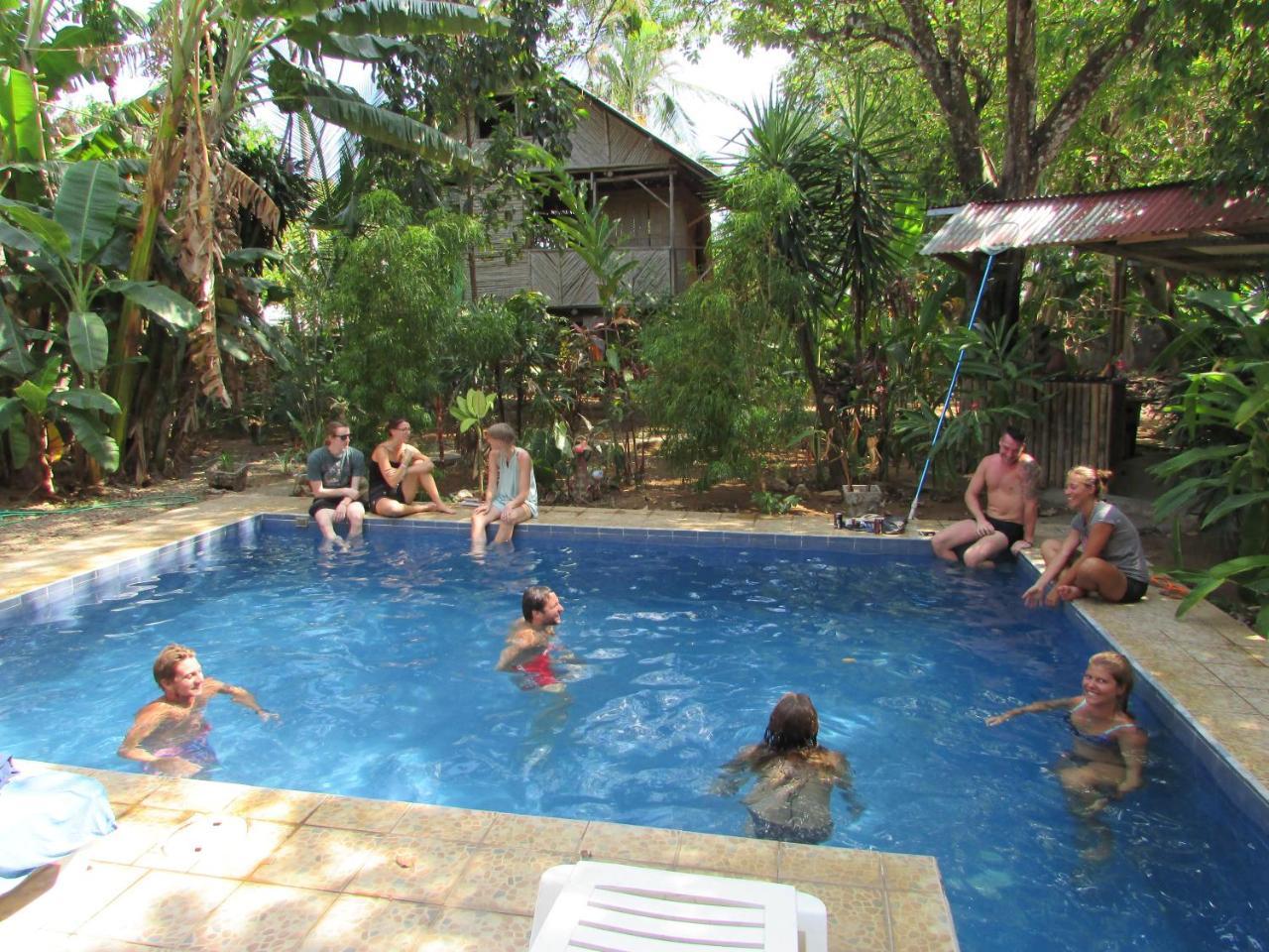 Bambu Hostel เดวิด ภายนอก รูปภาพ